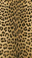 EN1 Leopardenfell